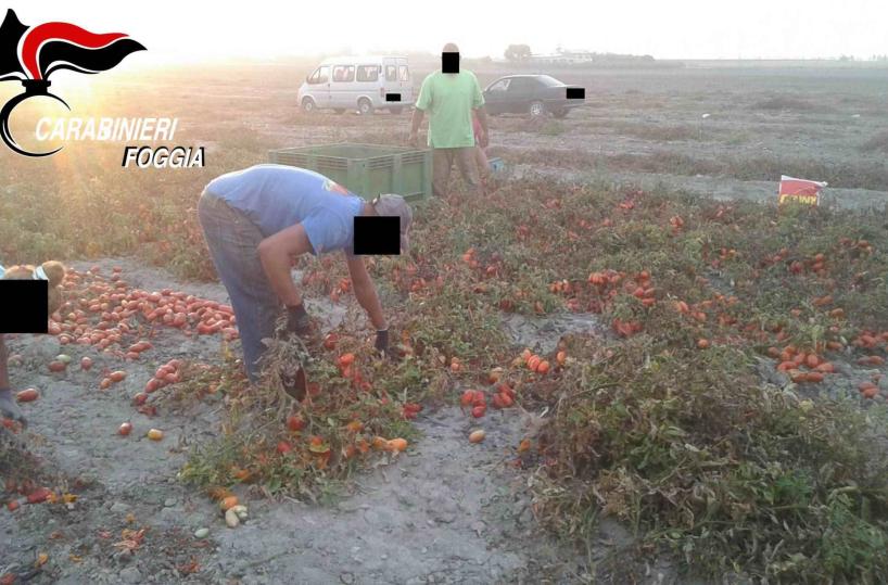 Sfruttavano 15 connazionali, arrestati due presunti caporali bulgari