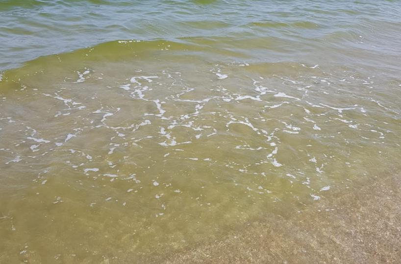 Mare giallo a Barletta: spettro inquinamento