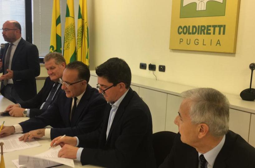 Cibi sicuri, Bio e a Km 0  made in Puglia: accordo tra Coldiretti e il colosso della ristorazione