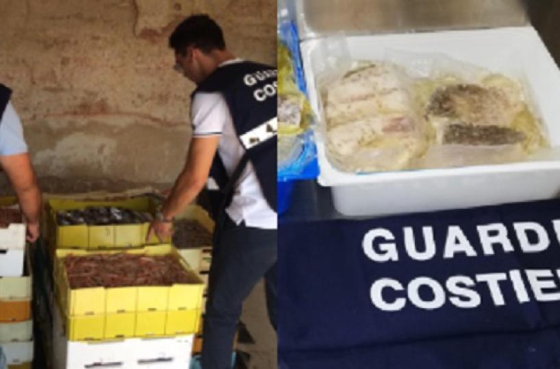 Bari, sequestrate 7 tonnellate di sgombri provenienti dalla Sicilia: il pesce era scaduto nel 2015