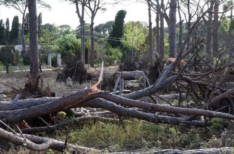 Maltempo, interrotto collegamento Termoli-isole Tremiti