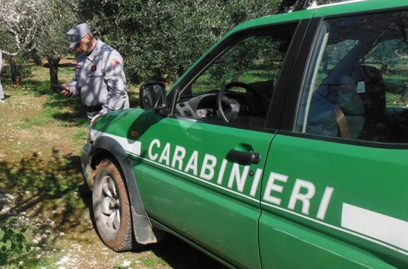 Pioggia acida nel Leccese, la Procura apre un'inchiesta