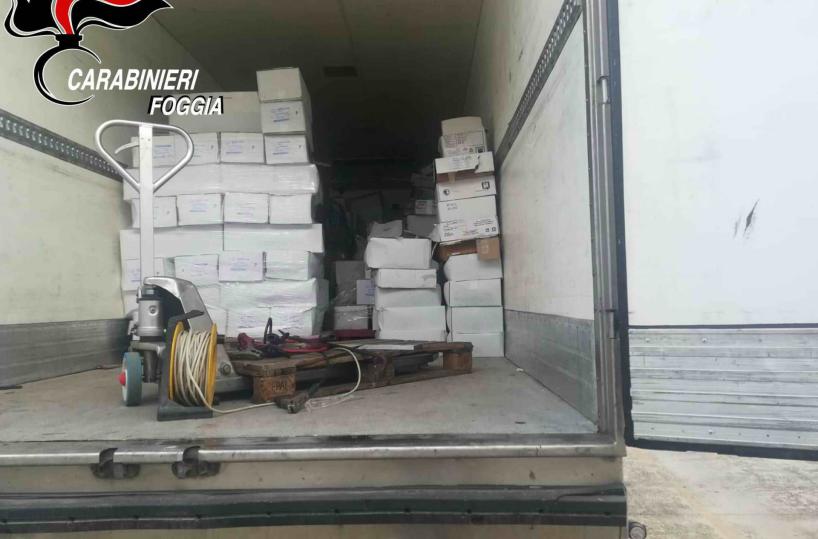 Furti di pesce e olive, detenzione e ricettazione: 3 arresti e 3 denunce nel Foggiano