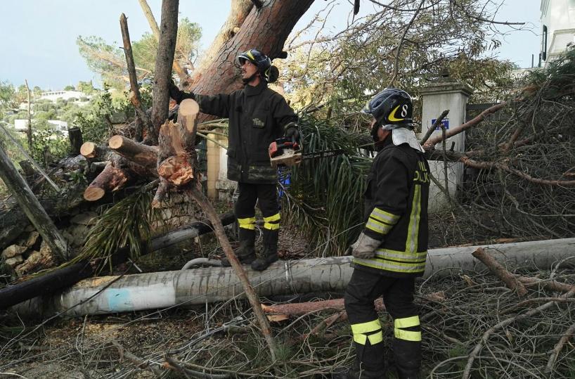 Lecce, venticinquemila alberi spazzati via dal tornado