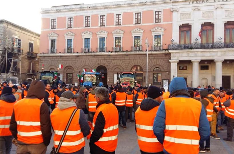 Olivicoltori domani in piazza a Roma con sindaci, studenti e commercianti