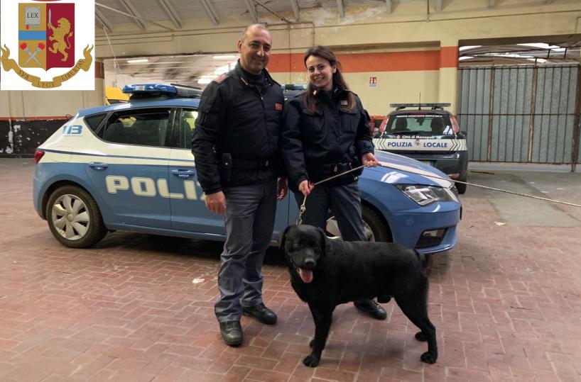 Monopoli, cane vagava per la città: Thor salvato dalla polizia torna a casa