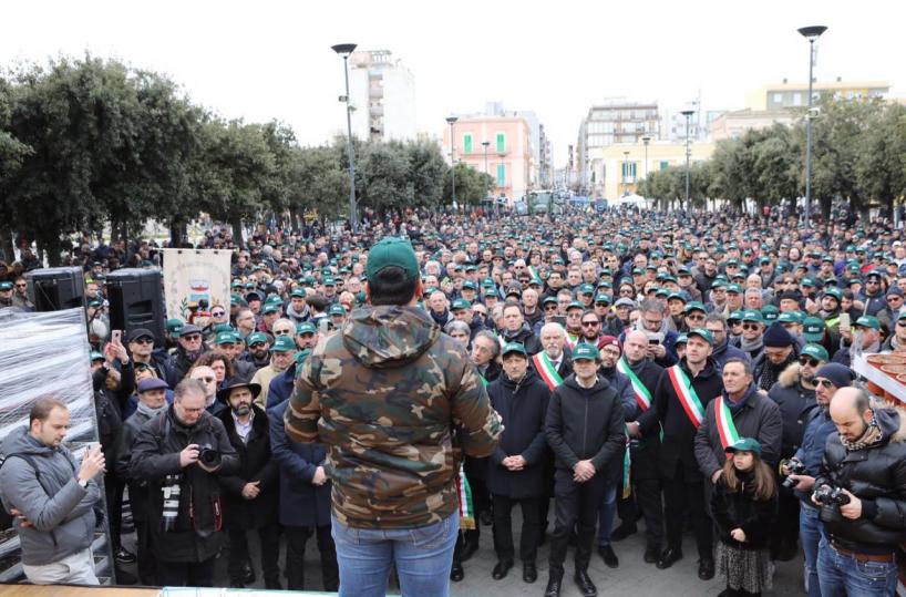 Xilella, la rabbia di agricoltori e sindaci a Monopoli. Sequestrato un ulivo infetto: «Adesso basta»