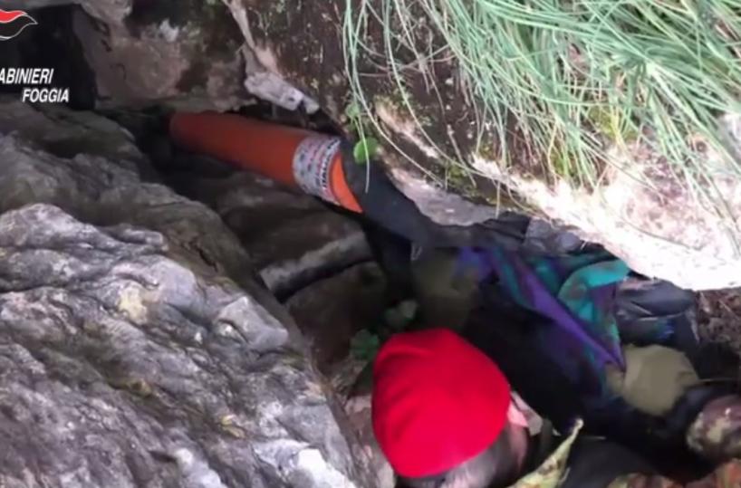 In casa armi da guerra e una faina imbalsamata: una denuncia nel Foggiano