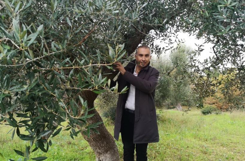 Xylella, senatore Ciampolillo: «Patologia non avanza, la gente va a cercarla»