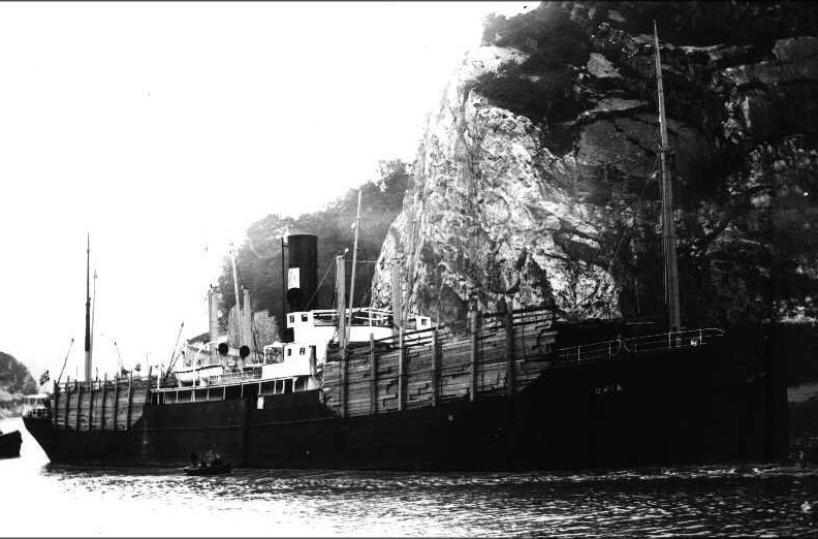Mar Egeo, la tragedia del piroscafo "Oria" La tomba poco conosciuta di pugliesi e lucani 