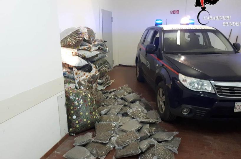 Carovigno, nel «fortino» 2 quintali di droga: sotto accusa una famiglia