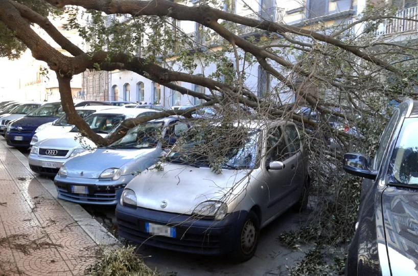 Taranto, alberi cadono sulle auto per il forte vento