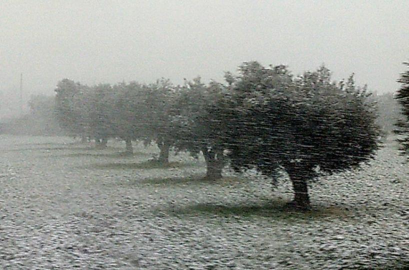 Vento gelido e fiocchi di neve: giù le temperature nel Barese