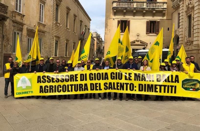 Lecce, Xylella:  è il giorno dei presidi davanti a Regione e Provincia