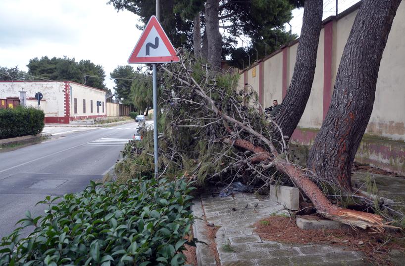 pioggia