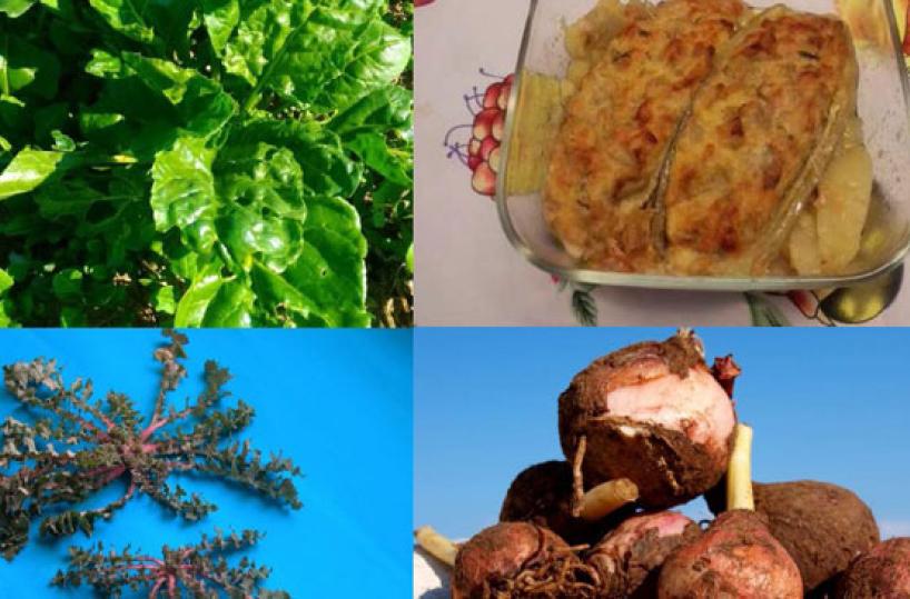 TUTELATI - Bietola melanzane ripiene  sivone e lampascione