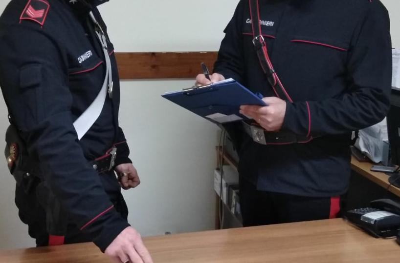 Coltivava marijuana in casa: arrestato 40enne nel Materano