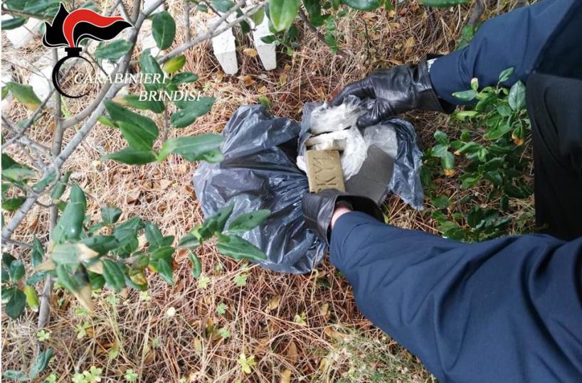 Savelletri, cc trovano droga e sostanza esplosiva abbandonate in un terreno