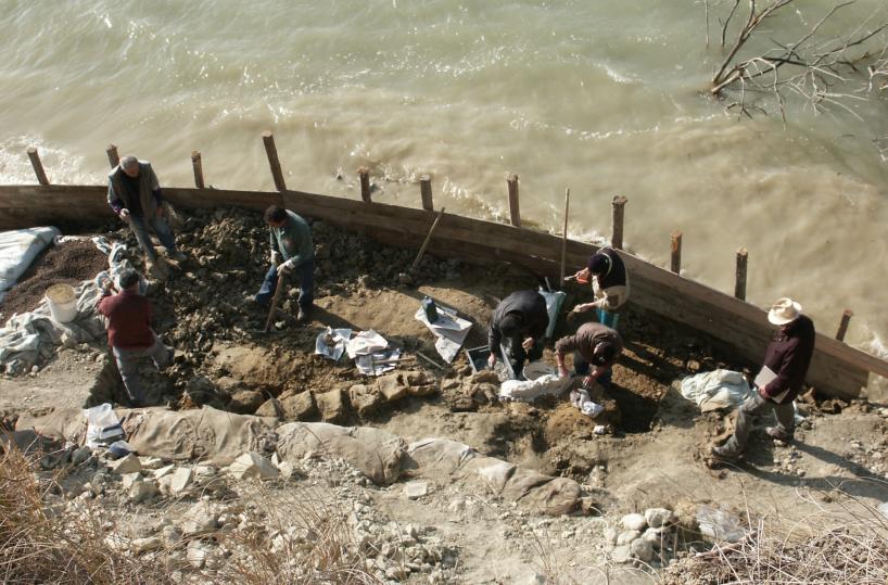 Giuliana, la balena di Matera fa il giro del mondo
