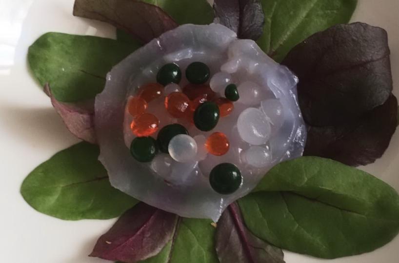 Meduse? Usate in cucina e per il make up, parla la ricercatrice