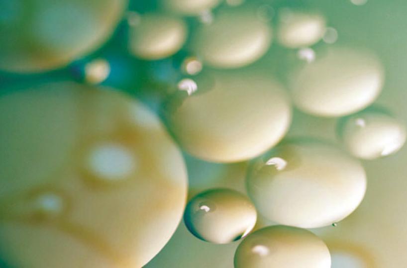 Idrosadenite suppurativa (HS) o acne inversa