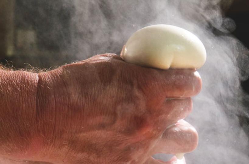 Mozzarella