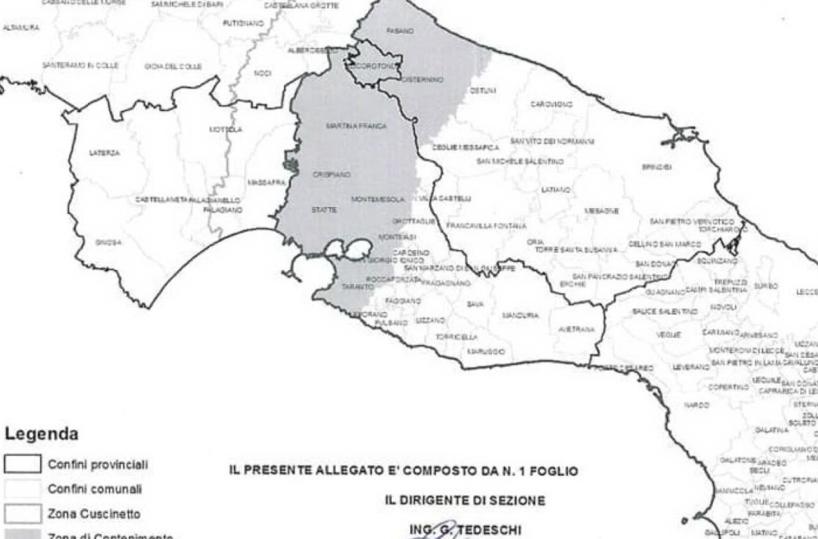 Xylella, da osservatorio regionale nuova mappa aree a rischio