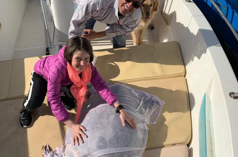 Marina di Fasano, bimba salva una tartaruga: curata e liberata in mare
