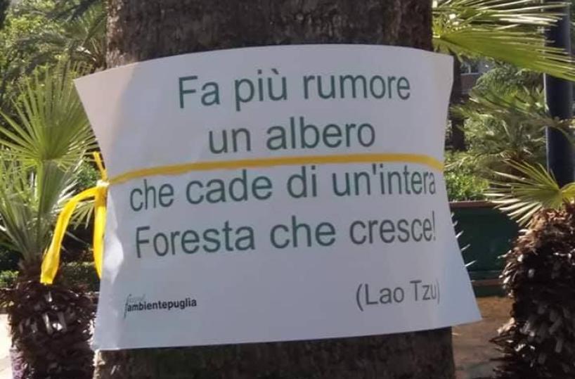 Bari, gli alberi parlano: flash mob ambientalista in piazza Umberto