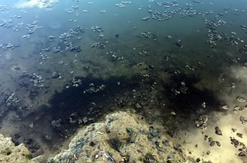 Macchie nel lago di Pertusillo: è inquinamento?