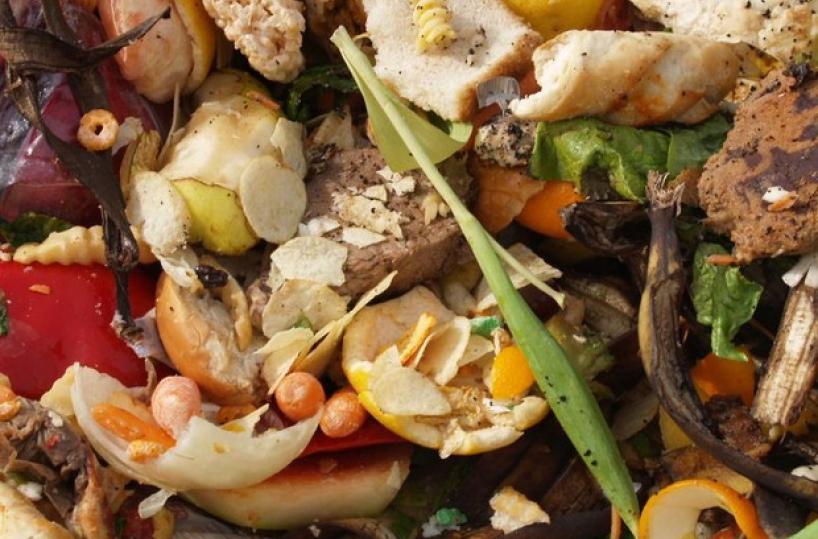 Ceglie Messapica, costretta per 18 anni a mangiare gli avanzi di marito e suocera 