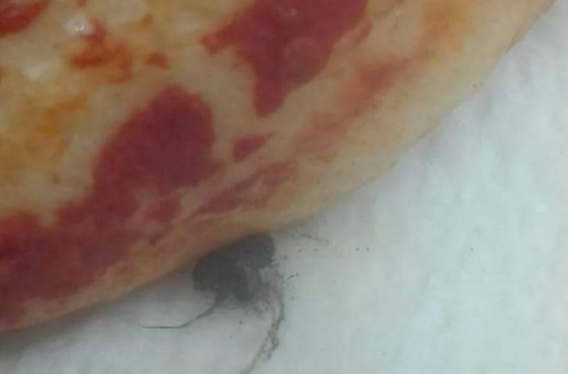 Francavilla, morde la focaccia e ci trova dentro uno scarafaggio cotto