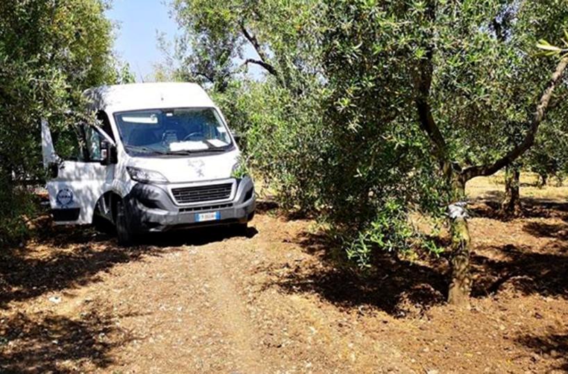 Bari, assalto armato a furgone portavalori sul'A14: rapinatori in fuga con 100mila euro