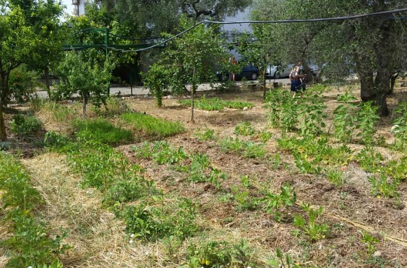 Inaugurato a Bari il primo "Orto comune della Salute"