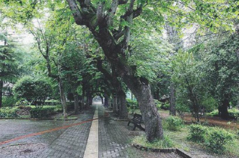 Potenza, tentò di violentare una 20enne al parco, nigeriano a processo
