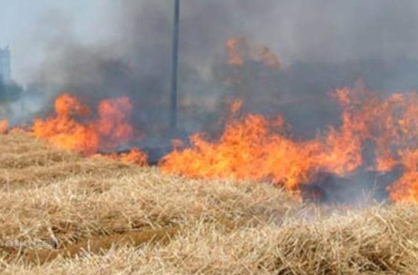 Orta Nova, incendio di sterpaglie: agricoltore muore carbonizzato
