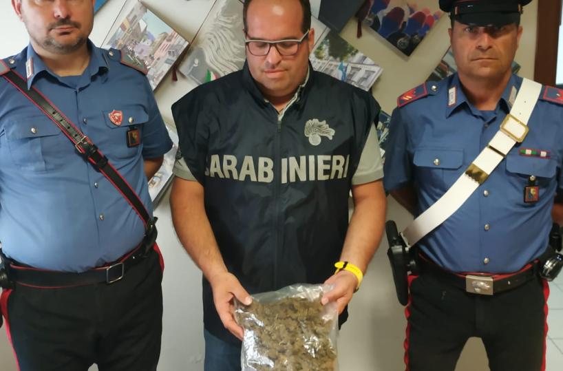 Patù, meccanico trovato con 1kg di marijuana e 6 tartarughe di specie protetta nel giardino: arrestato