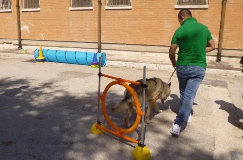 Foggia, cani e cavalli nel carcere per un giorno