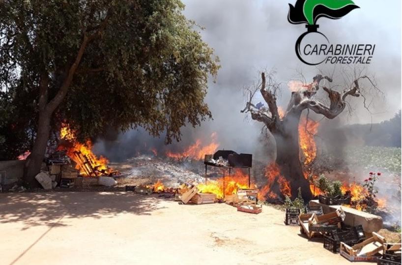 Gallipoli, vuole bruciare rifiuti speciali ma l'incendio devasta il terreno circostante: denunciato