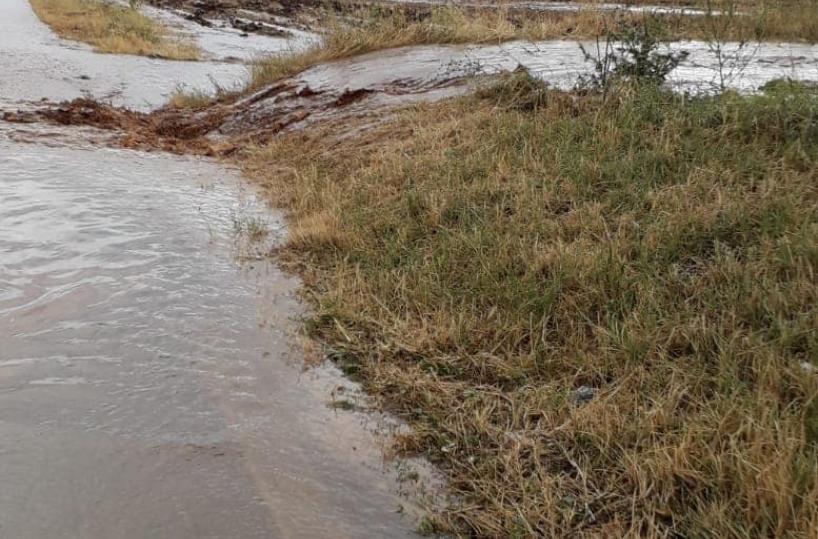 Terza tromba d'aria sul Gargano nel giro di 7 giorni: alberi spezzati e tetti divelti