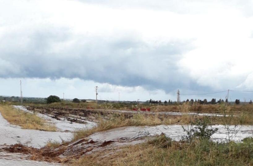 Terza tromba d'aria sul Gargano nel giro di 7 giorni: alberi spezzati e tetti divelti