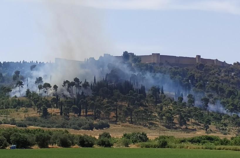 Lucera, tornano i piromani del castello: brucia la pineta