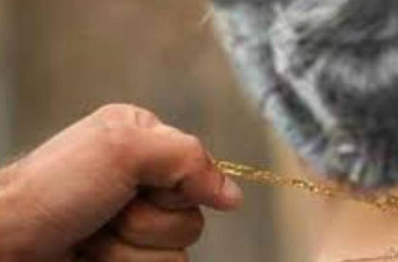 Foggia, aggredisce e scippa collana ad anziana colf: arrestato 