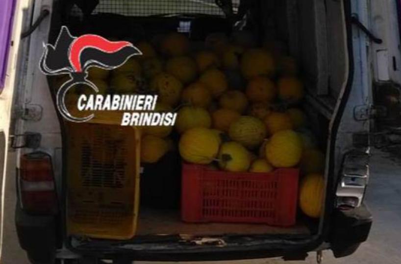Ruba 6 quintali di meloni in un'azienda, pizzicato al posto di blocco: arrestato 35enne