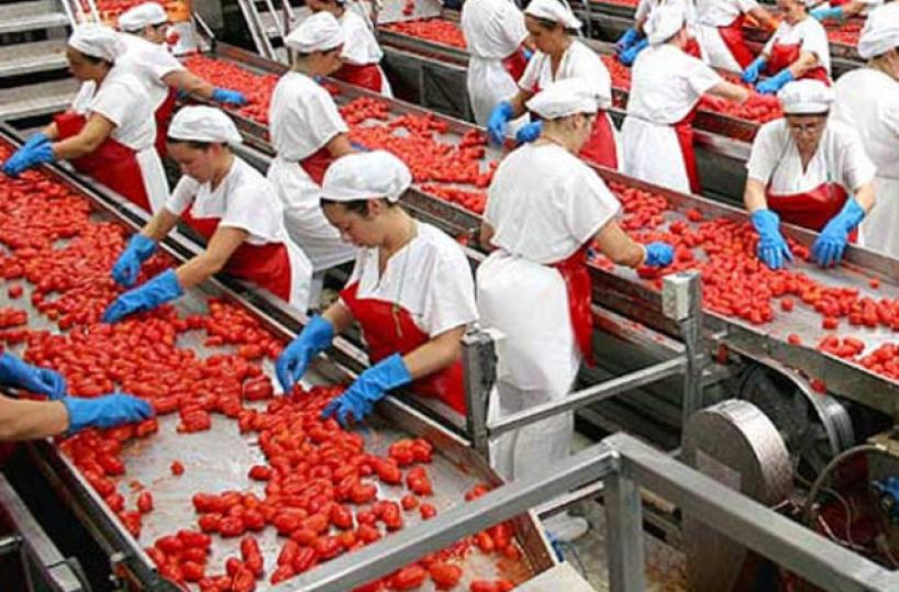 Con la Princes Foggia diventa capitale del pomodoro: in arrivo 1500 posti di lavoro