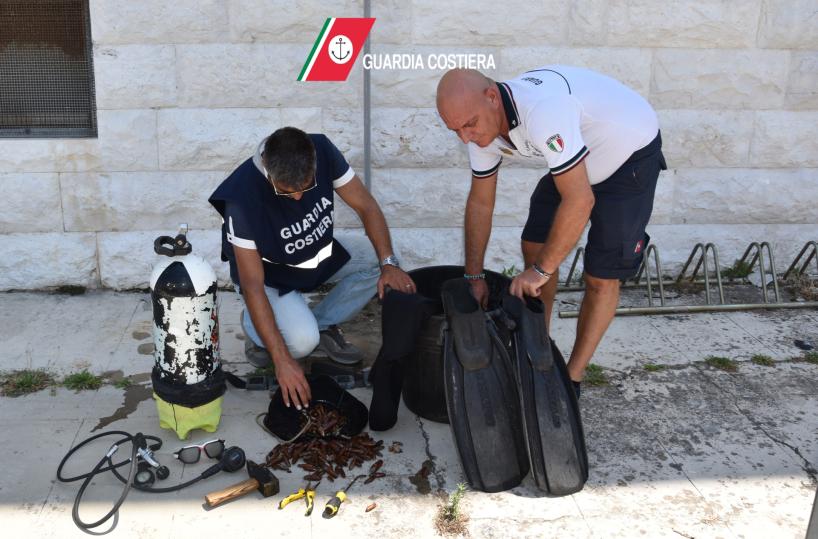 Trani, sequestrati 5 chili di datteri di mare