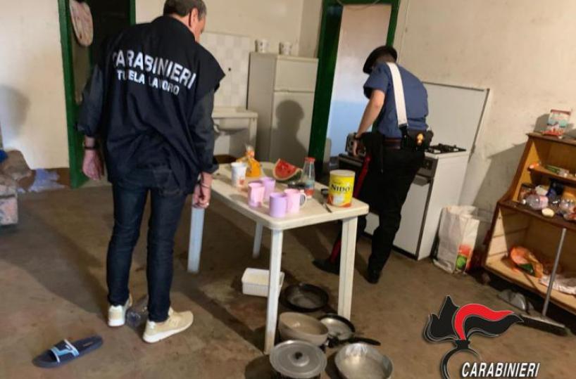 Ginosa, ai domiciliari per caporalato continua a sfruttare braccianti: in carcere