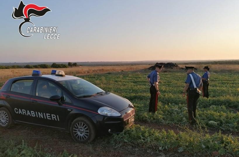 Caporalato, arrestato imprenditore a Nardò, braccianti pagati 1,40 euro per quintale di angurie raccolte