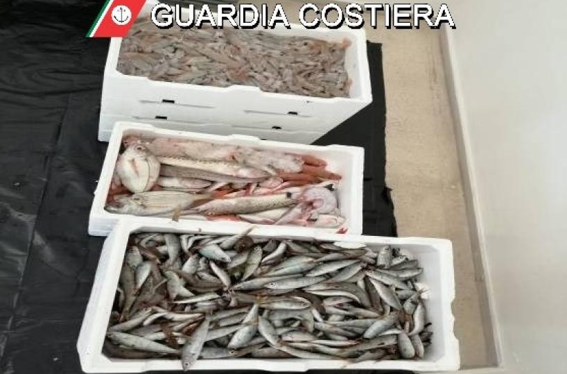 Otranto, sequestrate reti da pesca a strascico non conformi: pesce donato in beneficenza