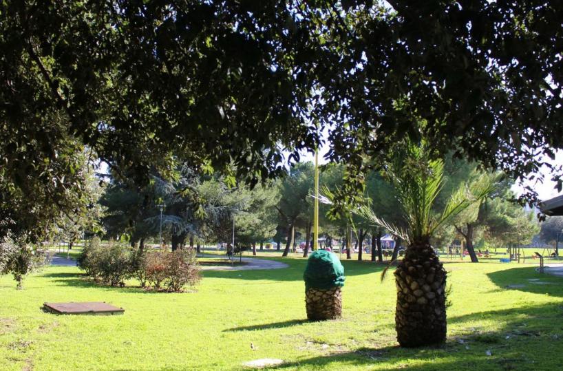 Foggia, bullismo a Parco San Felice: 14enne aggredito da coetanei